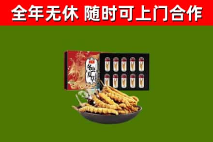 龙安区回收冬虫夏草价格